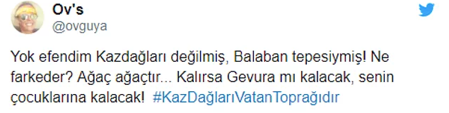 A Haber Kaz Dağları'nda 200 bin ağaç kesilmesini böyle savundu - Resim: 2