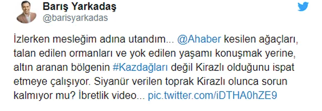 A Haber Kaz Dağları'nda 200 bin ağaç kesilmesini böyle savundu - Resim: 4