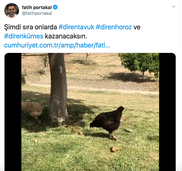 AKP medyasının Fatih Portakal hakkındaki kaçak çiftlik yalanı ellerinde patladı - Resim: 2