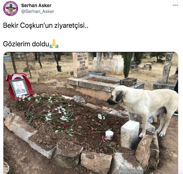 Bekir Coşkun'un mezarında sürpriz ziyaretçi - Resim: 1