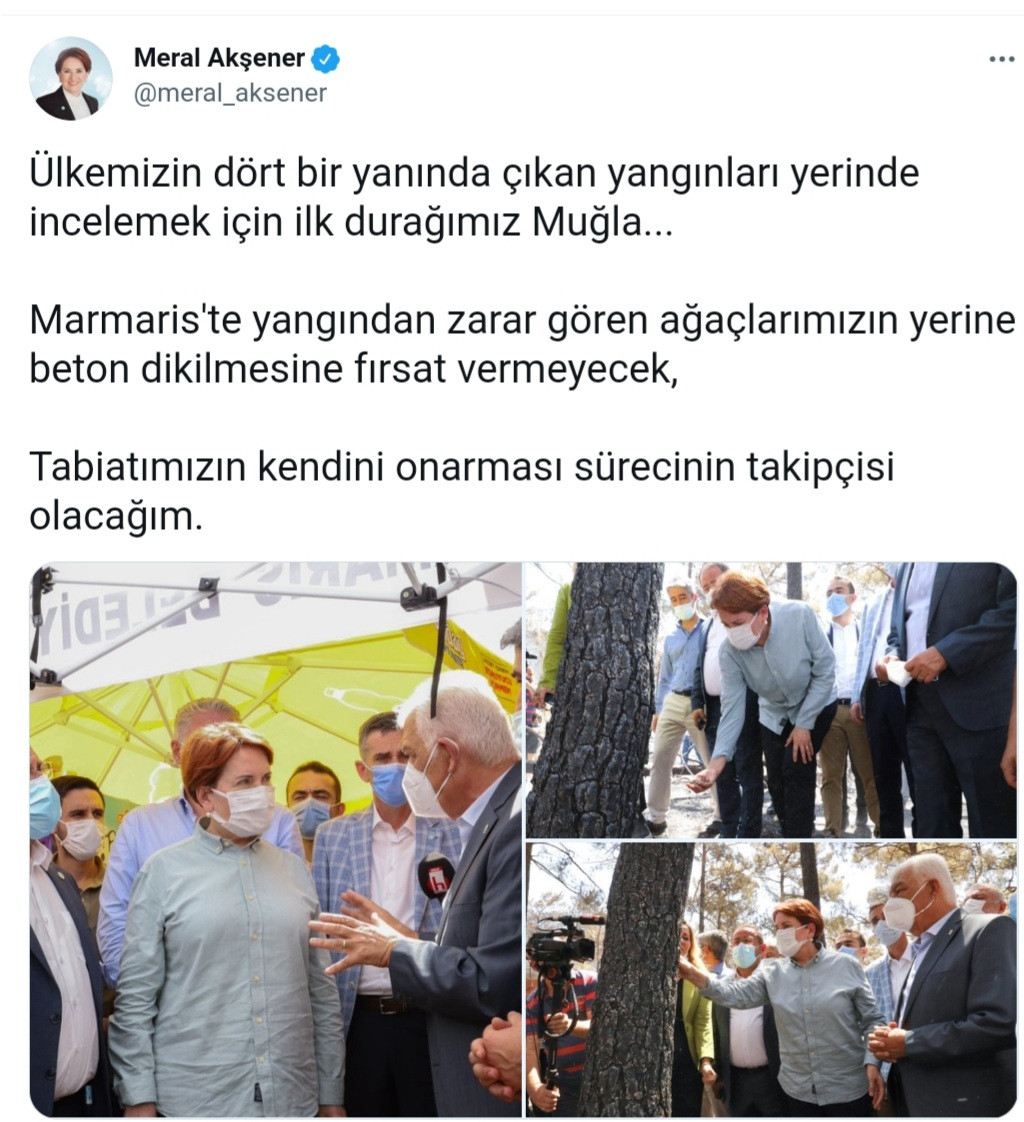 Akşener: Ağaçlarımızın Yerine Beton Dikilmesine Fırsat Vermeyeceğim - Resim: 1