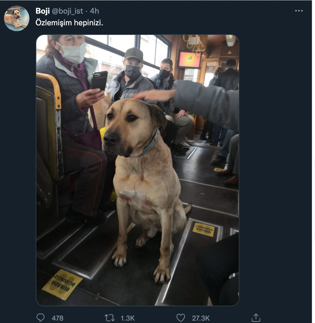 Boji'den Mesaj Var: Özlemişim Hepinizi - Resim: 1