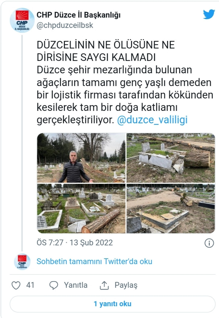 Düzce'de Doğa Katliamı: Düzceliler İsyan Etti - Resim: 1