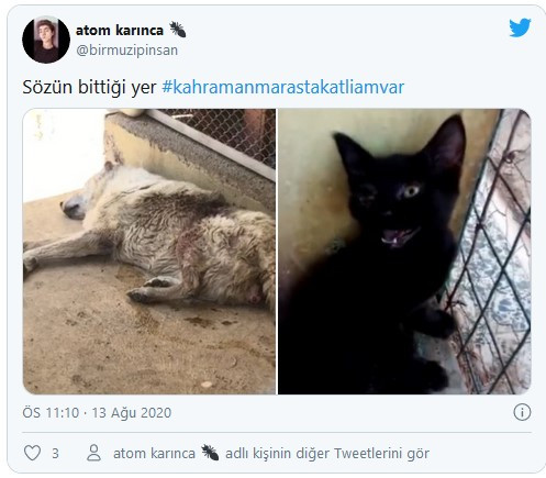 Tarkan'ın Afrin paylaşımı sosyal medyayı salladı - Resim: 1