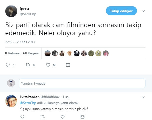 CHP'nin kedisi Şero'dan CHP'ye şok eleştiri - Resim: 1