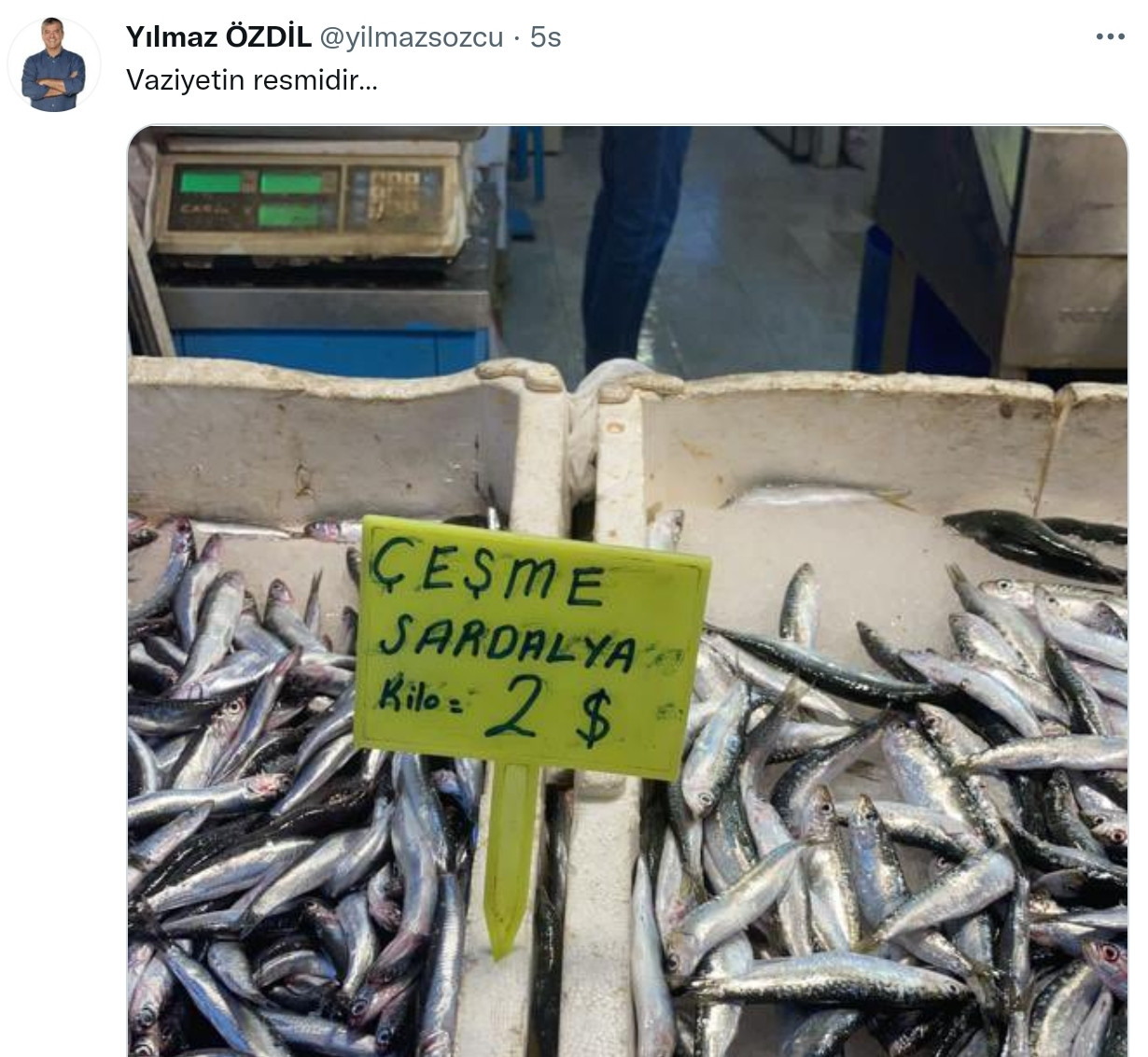 Yılmaz Özdil Paylaştı: Balık Dolarla Satılıyor - Resim: 1
