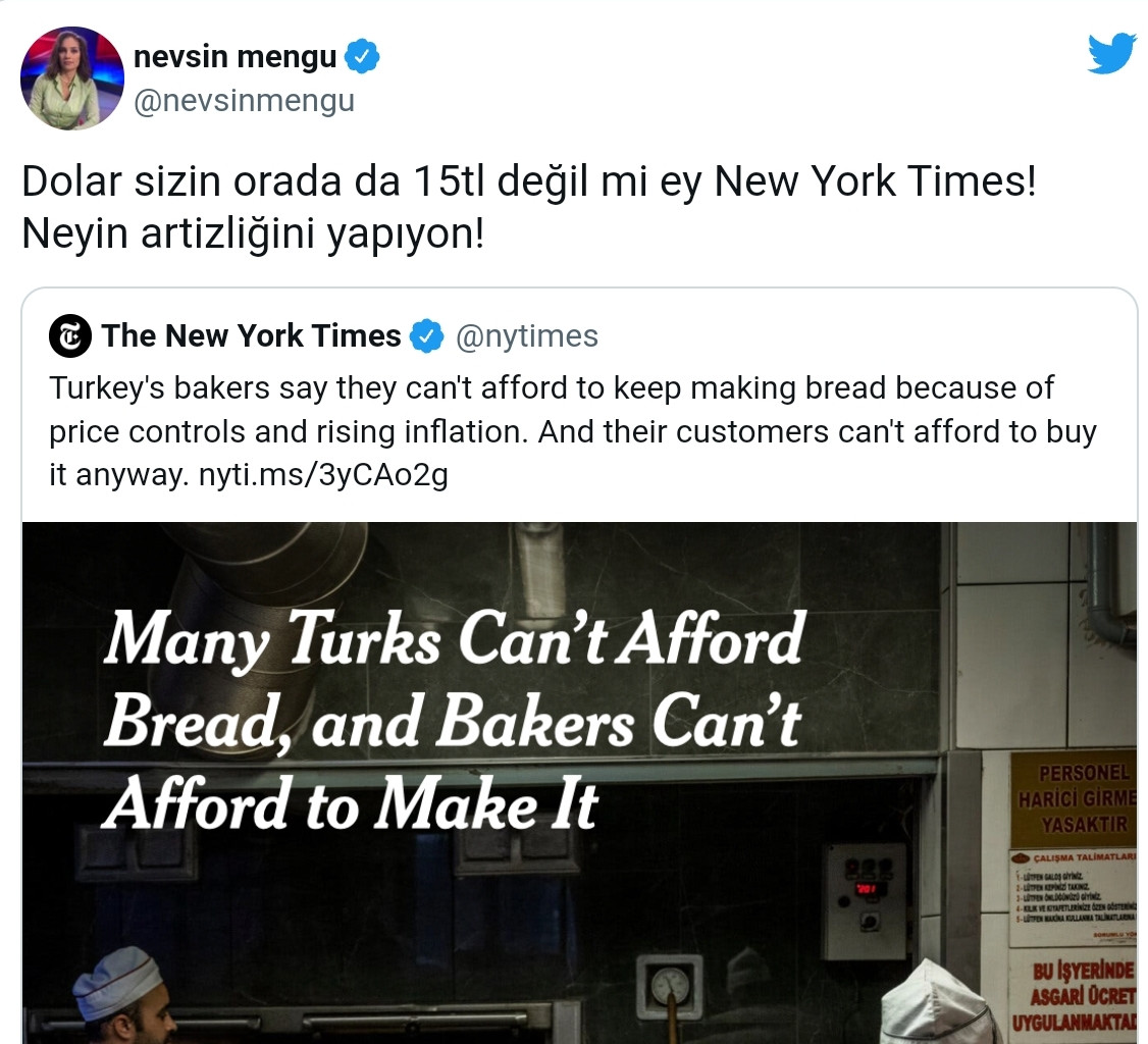 Nevşin Mengü'den NY Times'a Yanıt: Neyin Artistliğini Yapıyorsun - Resim: 1