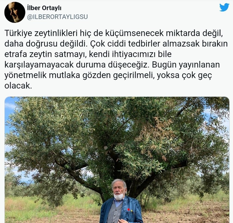 İlber Ortaylı'dan Bakanlığa Zeytinlik Tepkisi: Çok Geç Olacak! - Resim: 1