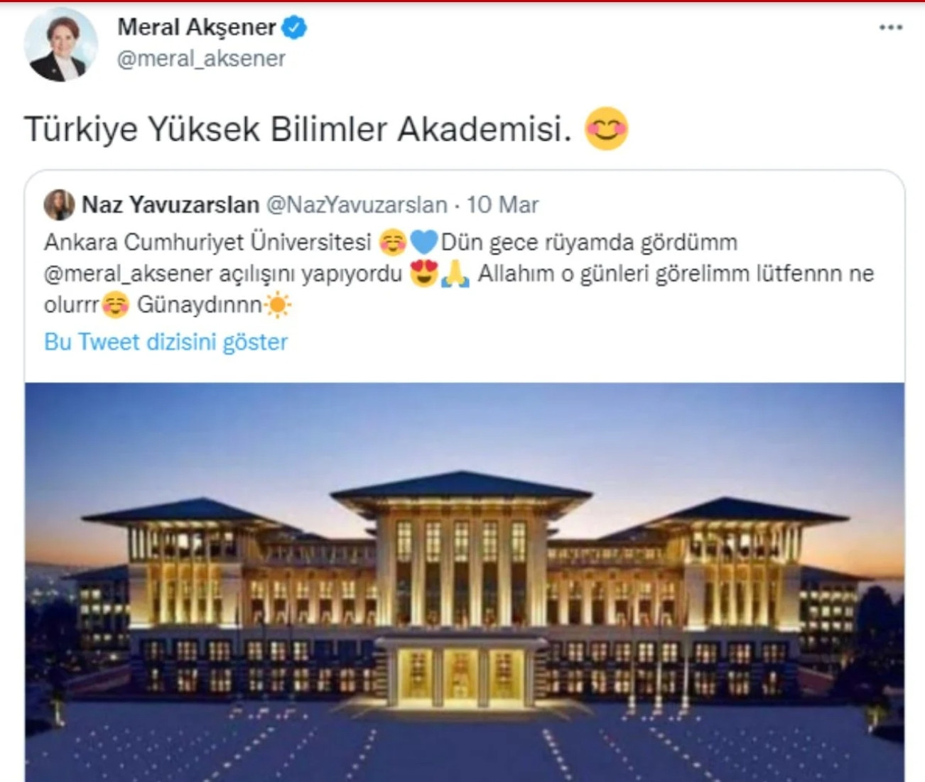 Akşener'in Saray Paylaşımı: Türkiye Yüksek Bilimler Akademisi Yapacak - Resim: 1