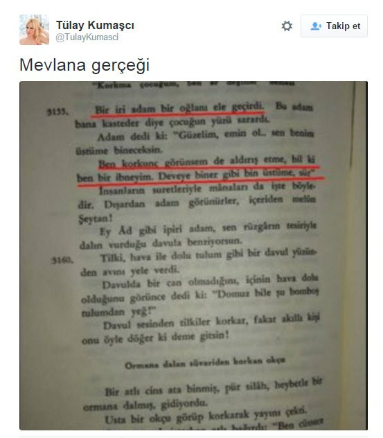 Tülay Kumaşçı'dan şok Mevlana paylaşımı! - Resim: 2