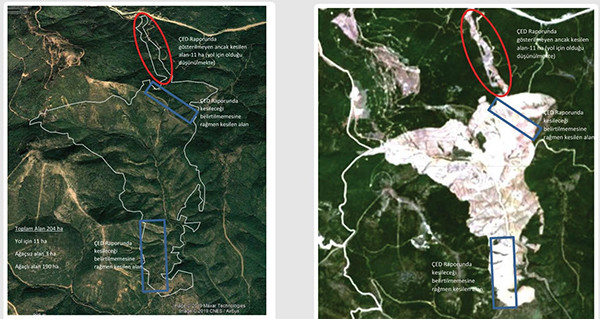 CHP'den Kaz Dağları raporu: ÇED alanı dışında da ağaç kesildi - Resim: 1