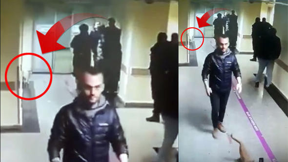 Sabah ve Hürriyet'in acil servisteki kedi kavgası - Resim: 3