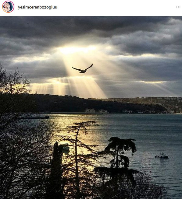 Yeşim Ceren Bozoğlu: Virüsler çok demokrat - Resim: 1