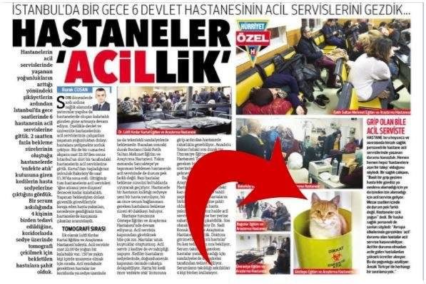 Sabah ve Hürriyet'in acil servisteki kedi kavgası - Resim: 1