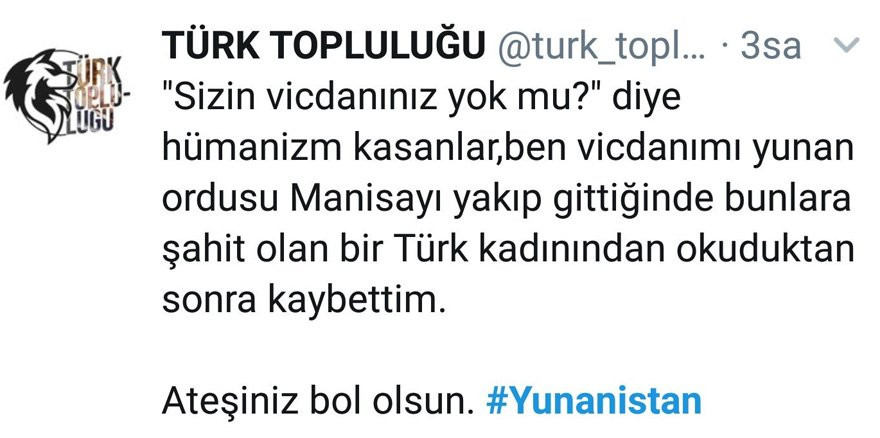 Yunanistan'daki yangın hakkında yapılan iğrenç yorumlara tepki yağıyor - Resim: 5